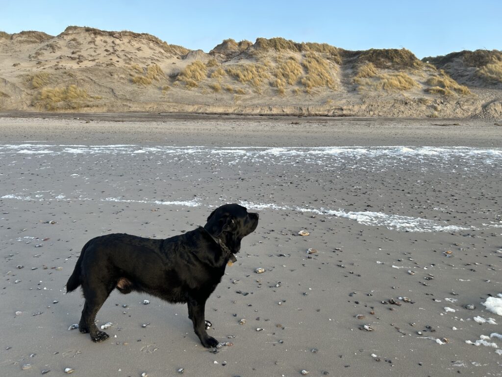Bergson am Strand