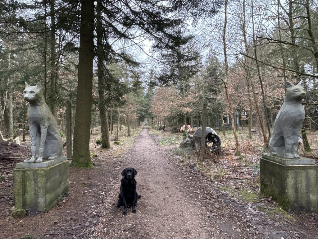 Bergson im Deepforest Art Land