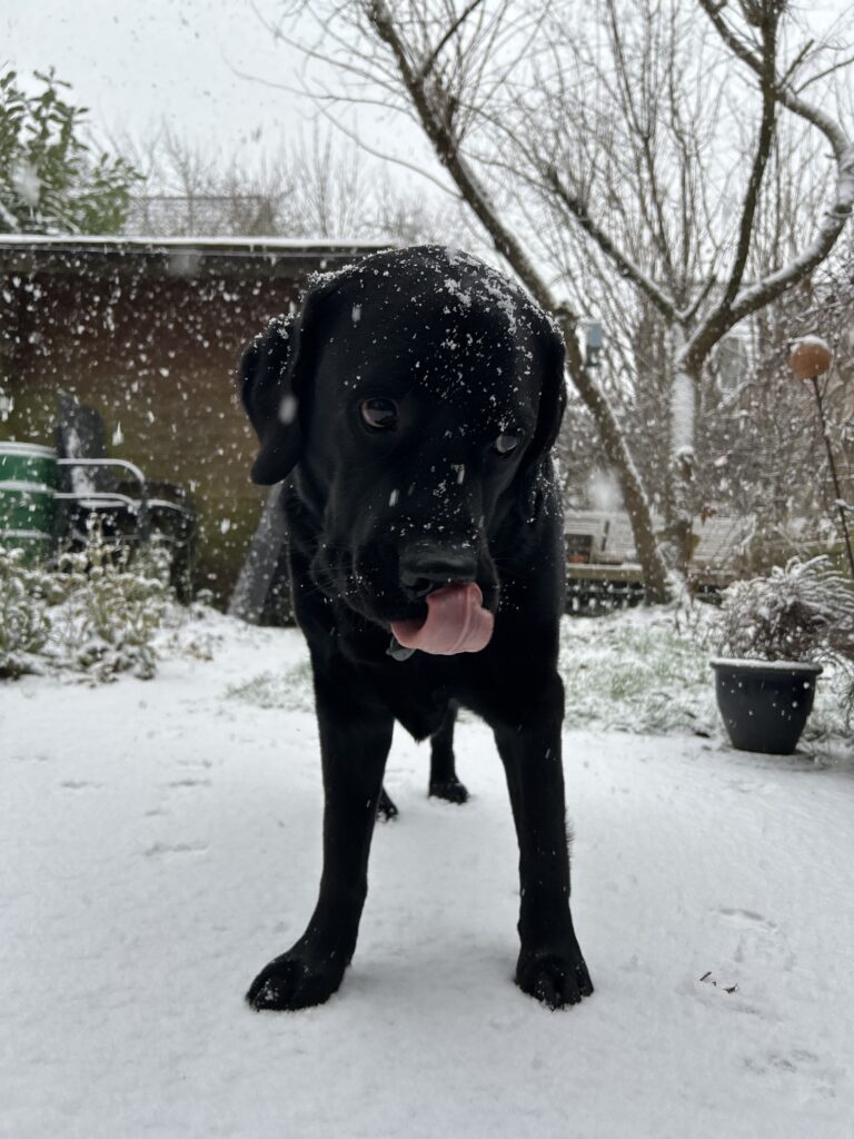 Bergson im Schnee