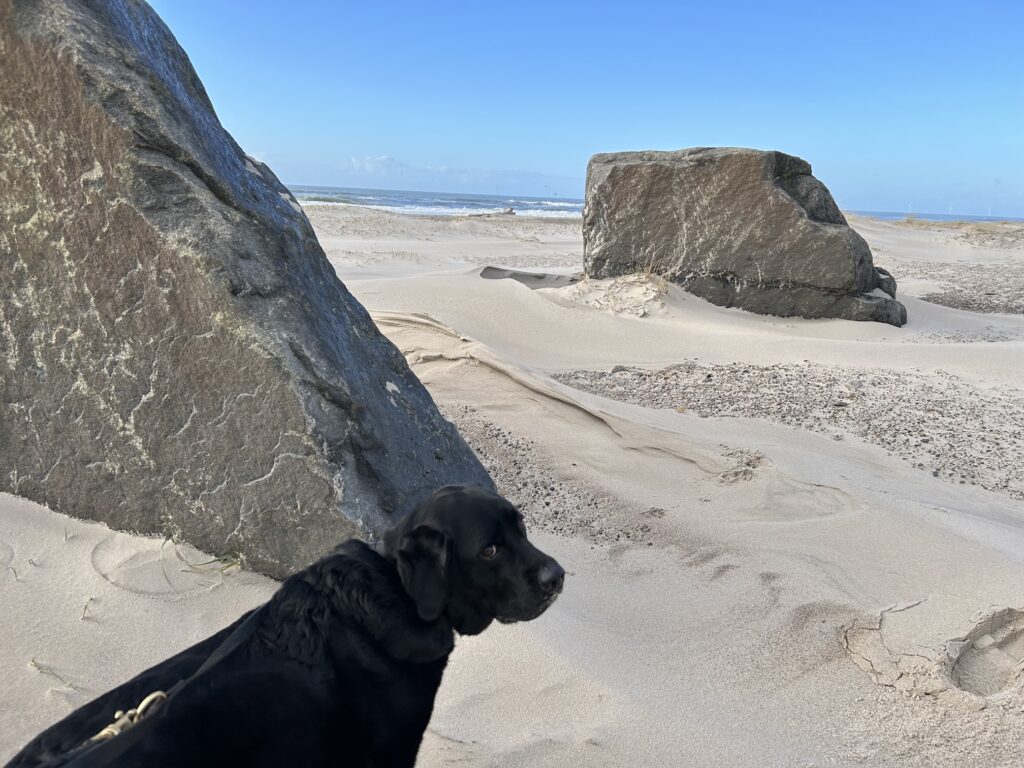 Bergson am Strand Hvide Sande