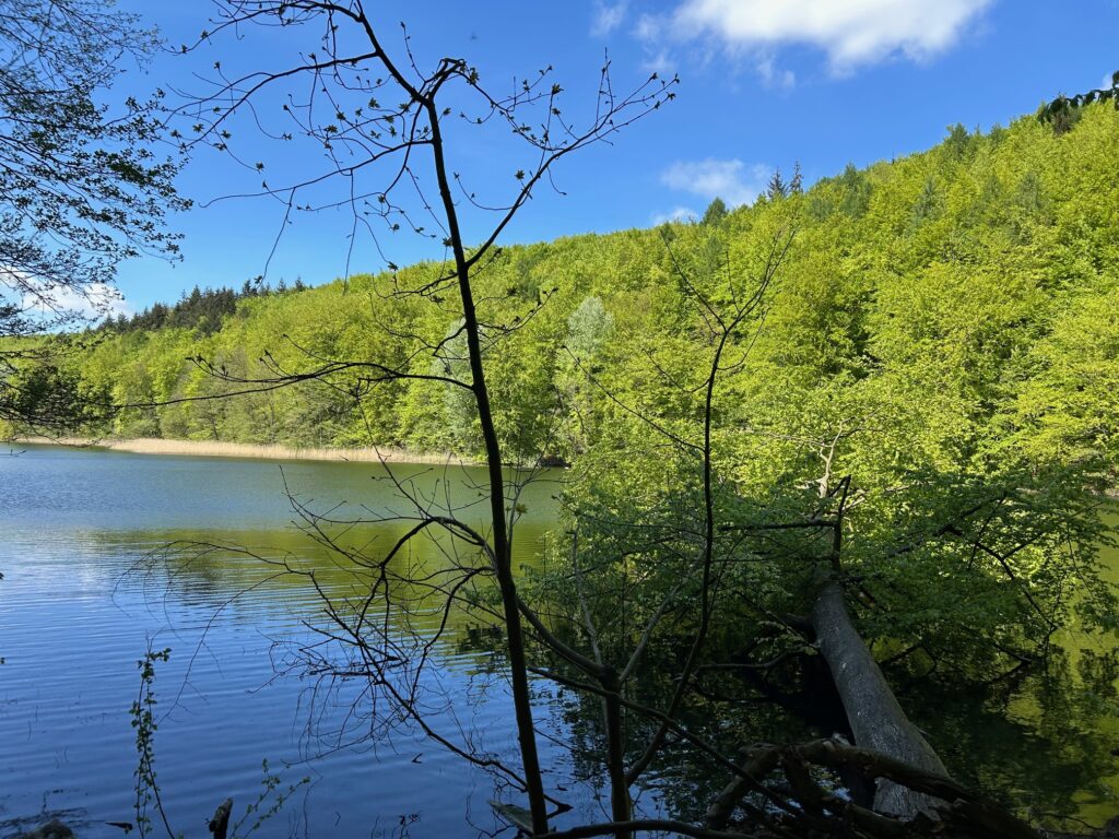 Ukleisee