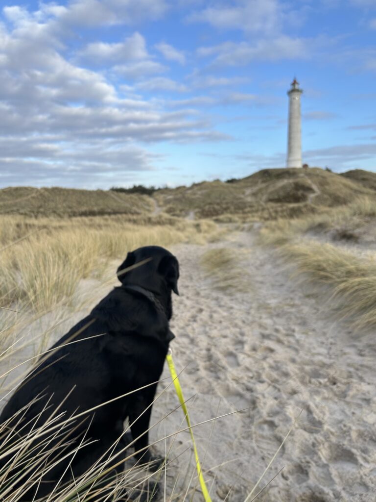 Bergson Lyngvig Fyr