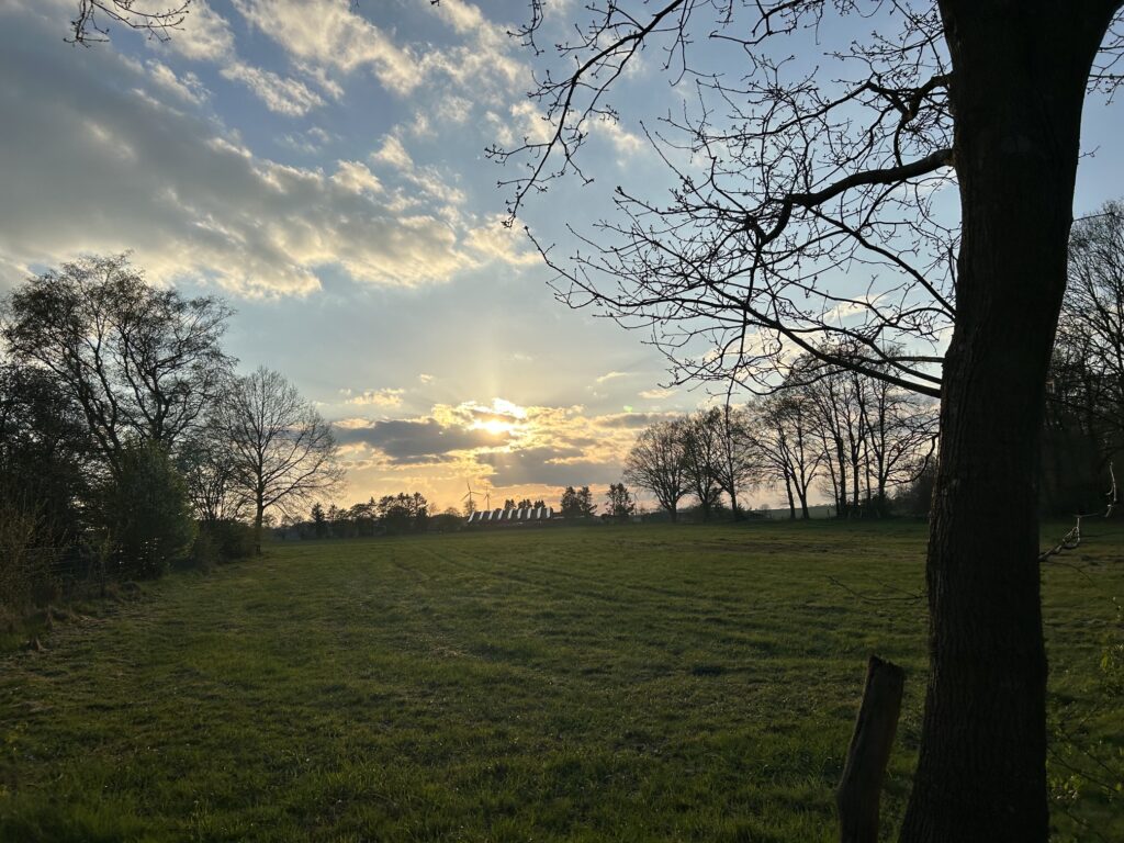 Südheide Sonnenuntergang