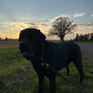 Bergson vor Sonnenuntergang