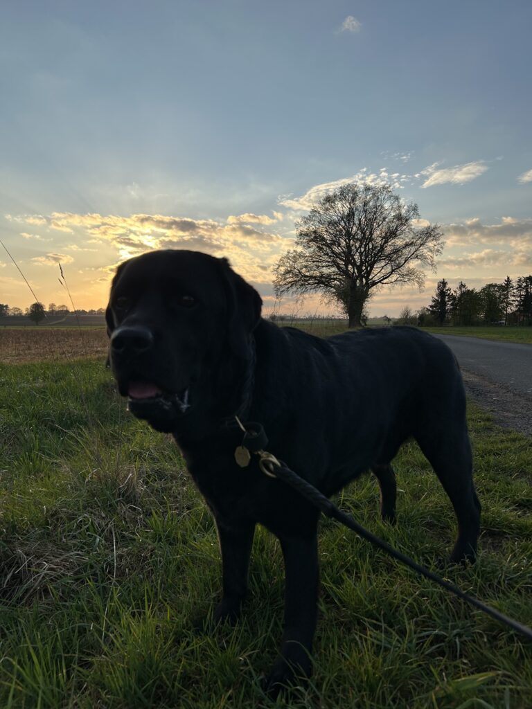 Bergson vor Sonnenuntergang