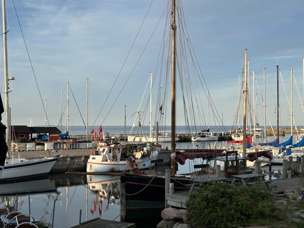 Ballen auf Samsø Copyright Sibille Fuhrken