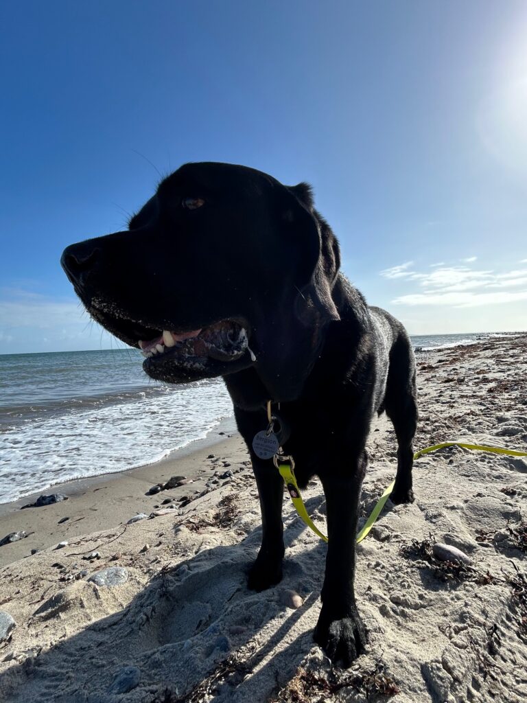 Bergson am Strand