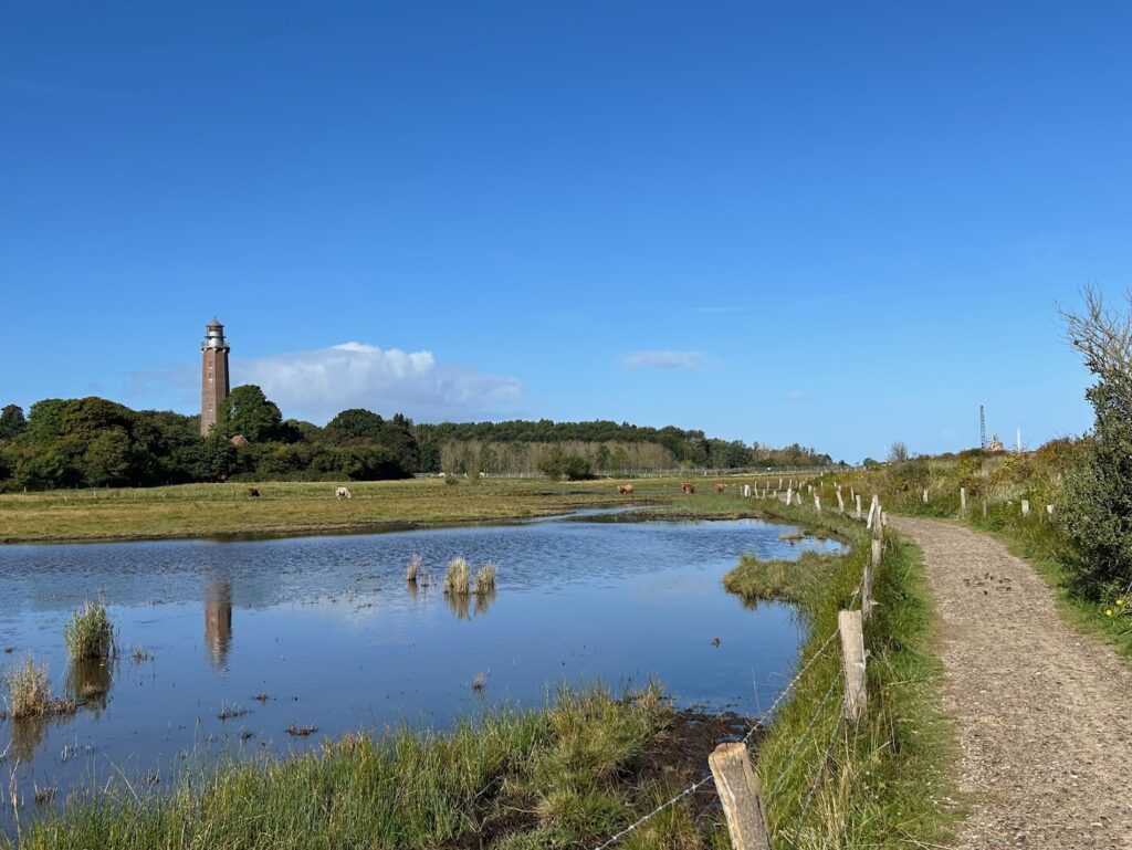 Leuchtturm Neuland (c) Sibille Fuhrken