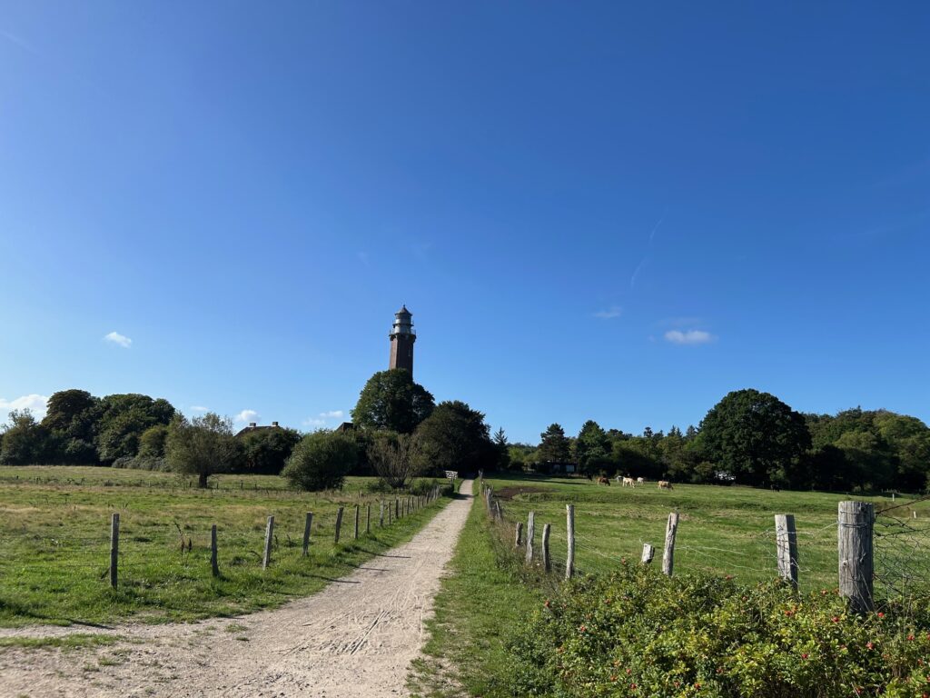 Leuchtturm Neuland (c) Sibille Fuhrken